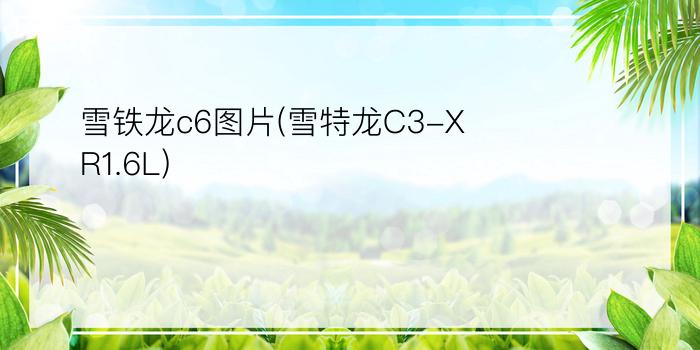 雪铁龙c6图片(雪特龙C3-XR1.6L)