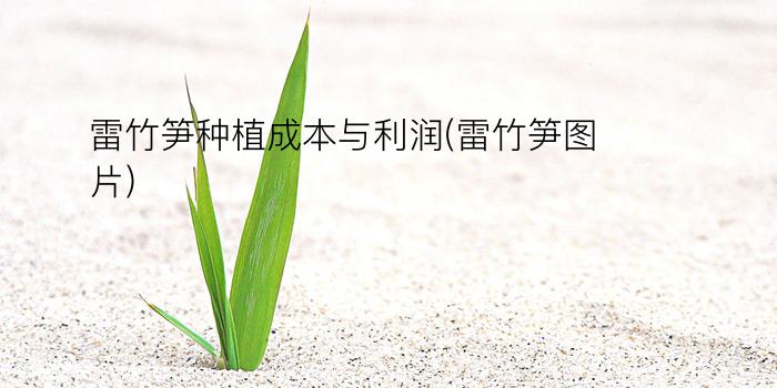 雷竹笋种植成本与利润(雷竹笋图片)