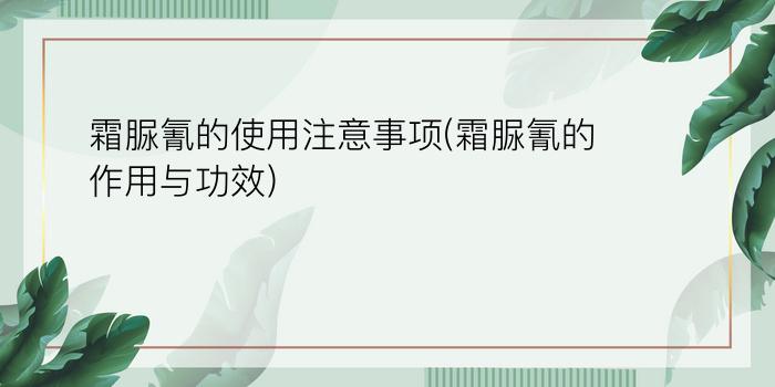 霜脲氰的使用注意事项(霜脲氰的作用与功效)