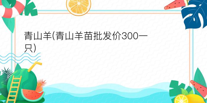 青山羊(青山羊苗批发价300一只)