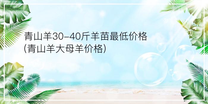 青山羊30-40斤羊苗最低价格(青山羊大母羊价格)