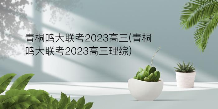 青桐鸣大联考2023高三(青桐鸣大联考2023高三理综)