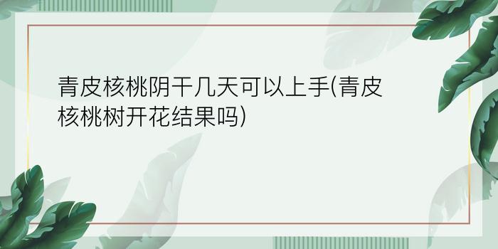 青皮核桃阴干几天可以上手(青皮核桃树开花结果吗)