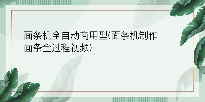 面条机全自动商用型(面条机制作面条全过程视频)