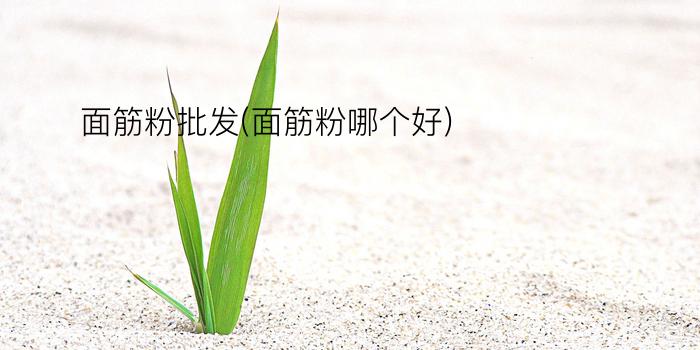 面筋粉批发(面筋粉哪个好)