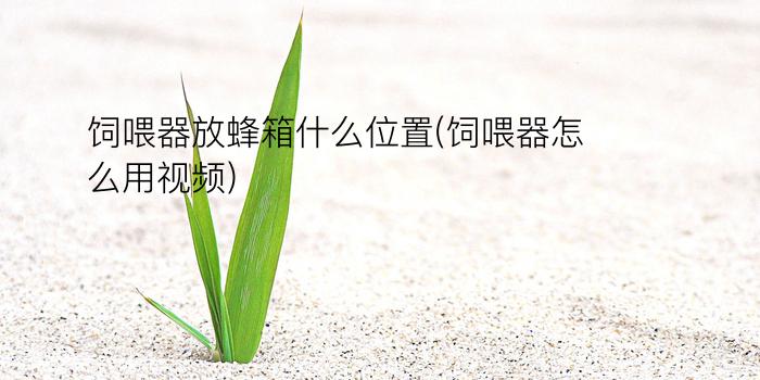 饲喂器放蜂箱什么位置(饲喂器怎么用视频)