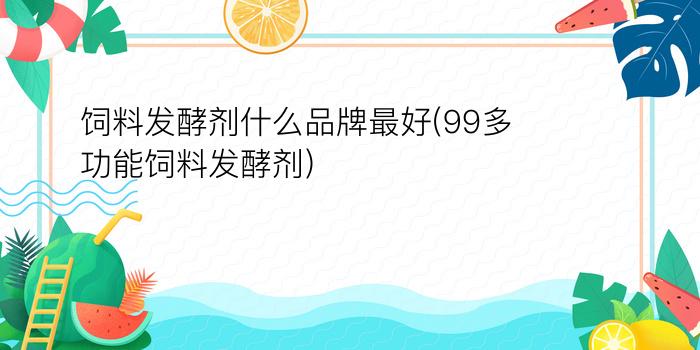 饲料发酵剂什么品牌最好(99多功能饲料发酵剂)