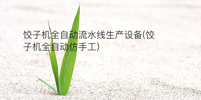 饺子机全自动流水线生产设备(饺子机全自动仿手工)