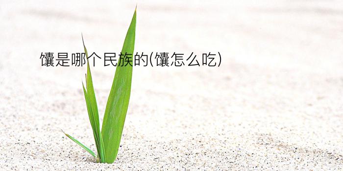 馕是哪个民族的(馕怎么吃)