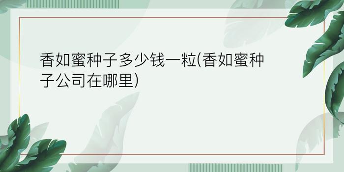 香如蜜种子多少钱一粒(香如蜜种子公司在哪里)