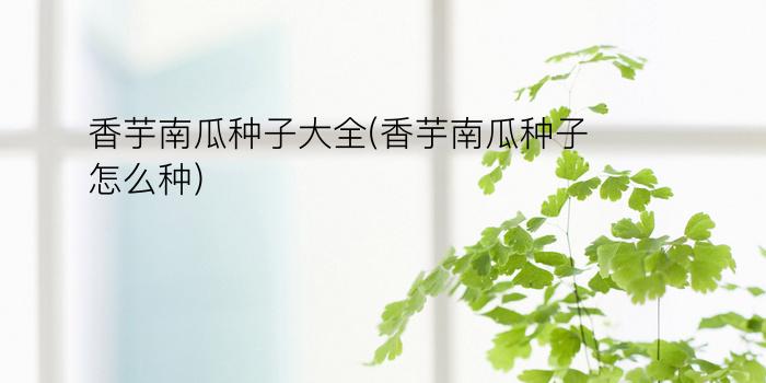 香芋南瓜种子大全(香芋南瓜种子怎么种)