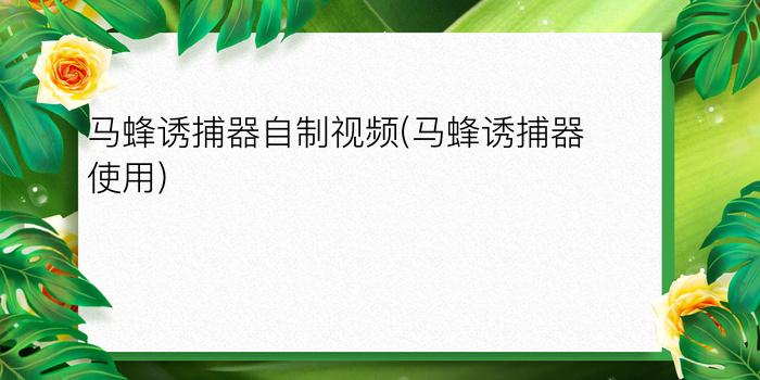 马蜂诱捕器自制视频(马蜂诱捕器使用)