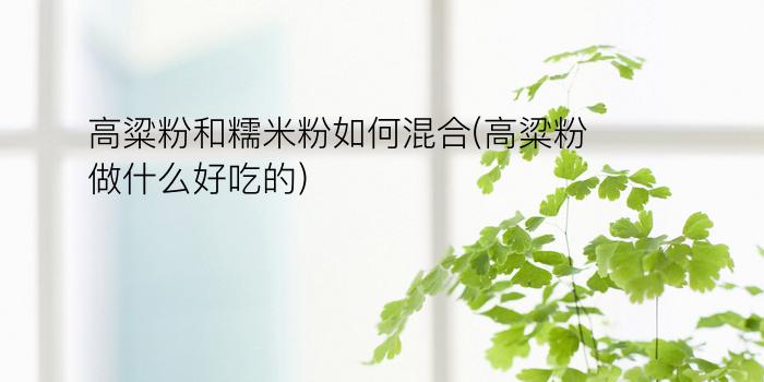 高粱粉和糯米粉如何混合(高粱粉做什么好吃的)