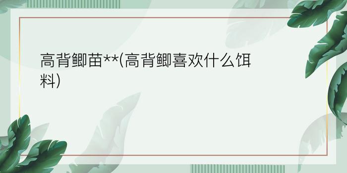 高背鲫苗**(高背鲫喜欢什么饵料)