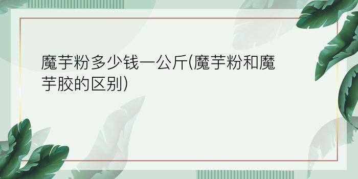 魔芋粉多少钱一公斤(魔芋粉和魔芋胶的区别)