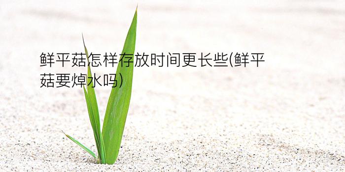 鲜平菇怎样存放时间更长些(鲜平菇要焯水吗)