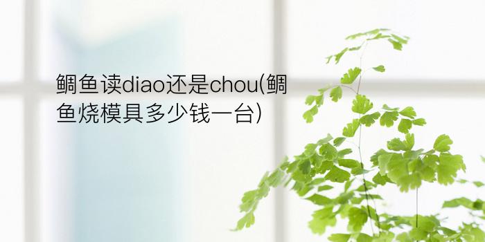 鲷鱼读diao还是chou(鲷鱼烧模具多少钱一台)