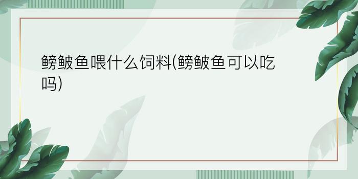 鳑鲏鱼喂什么饲料(鳑鲏鱼可以吃吗)