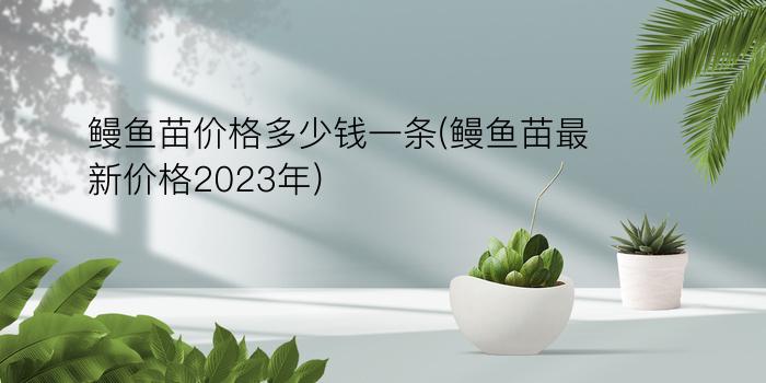 鳗鱼苗价格多少钱一条(鳗鱼苗最新价格2023年)