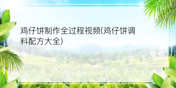 鸡仔饼制作全过程视频(鸡仔饼调料配方大全)