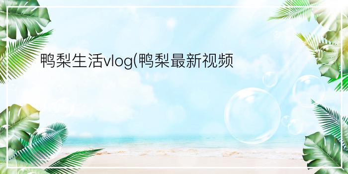 鸭梨生活vlog(鸭梨最新视频)