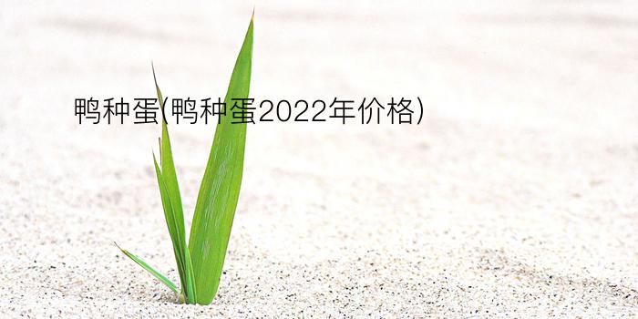 鸭种蛋(鸭种蛋2022年价格)