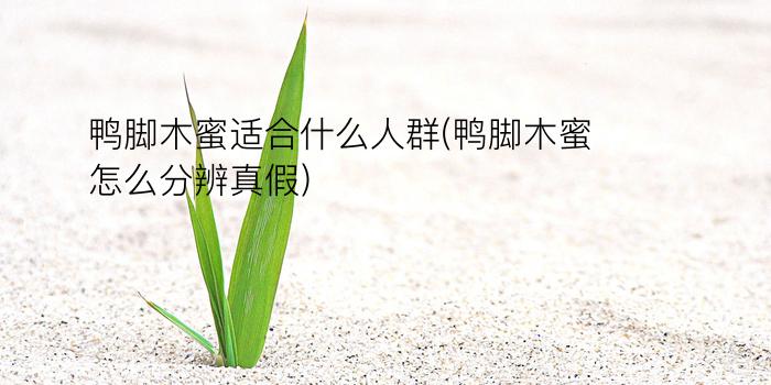 鸭脚木蜜适合什么人群(鸭脚木蜜怎么分辨真假)