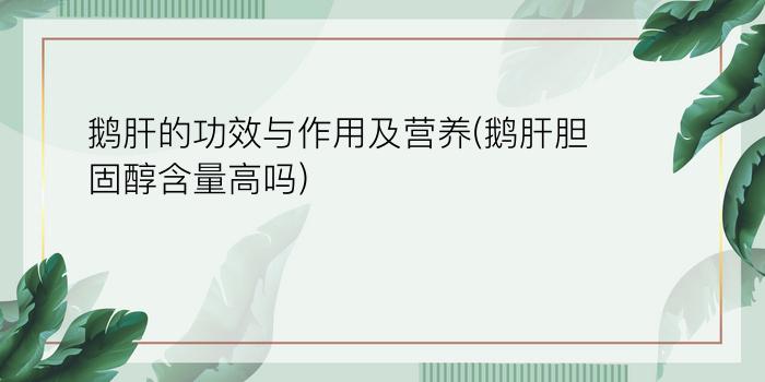 鹅肝的功效与作用及营养(鹅肝胆固醇含量高吗)