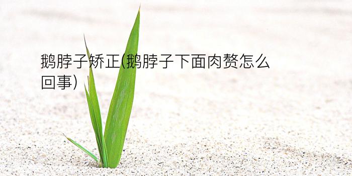 鹅脖子矫正(鹅脖子下面肉赘怎么回事)