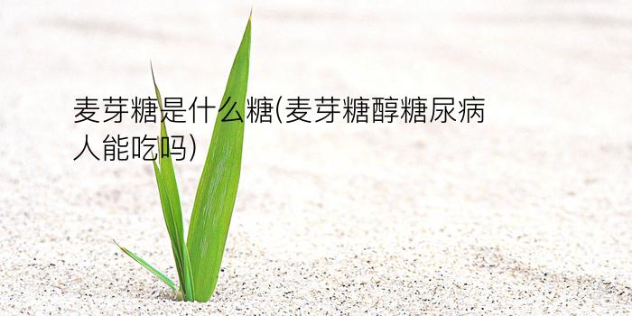 麦芽糖是什么糖(麦芽糖醇糖尿病人能吃吗)