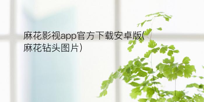 麻花影视app官方下载安卓版(麻花钻头图片)