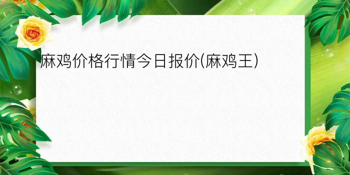 麻鸡价格行情今日报价(麻鸡王)