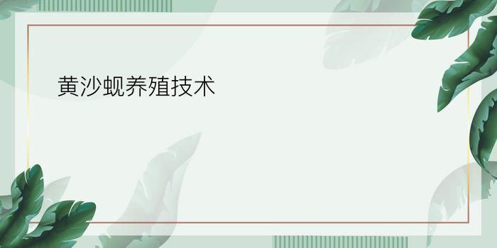 黄沙蚬养殖技术