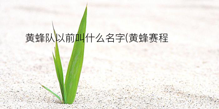 黄蜂队以前叫什么名字(黄蜂赛程)