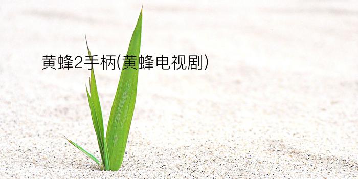 黄蜂2手柄(黄蜂电视剧)