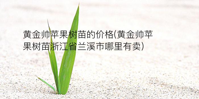 黄金帅苹果树苗的价格(黄金帅苹果树苗浙江省兰溪市哪里有卖?)