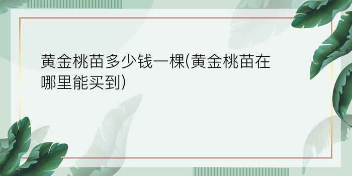 黄金桃苗多少钱一棵(黄金桃苗在哪里能买到)