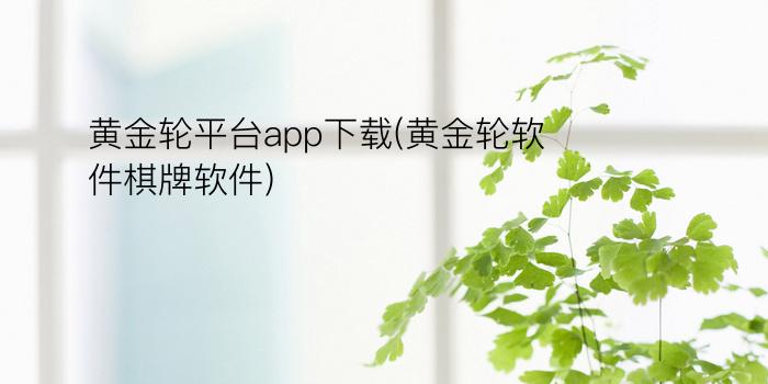 黄金轮平台app下载(黄金轮软件棋牌软件)