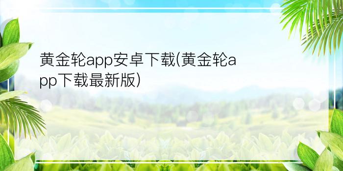 黄金轮app安卓下载(黄金轮app下载最新版)