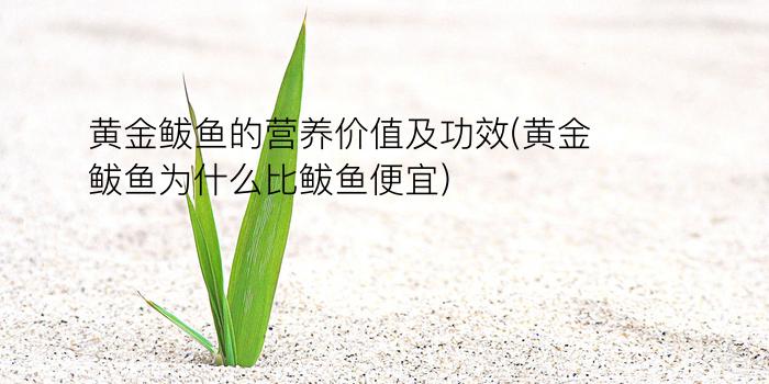 黄金鲅鱼的营养价值及功效(黄金鲅鱼为什么比鲅鱼便宜)