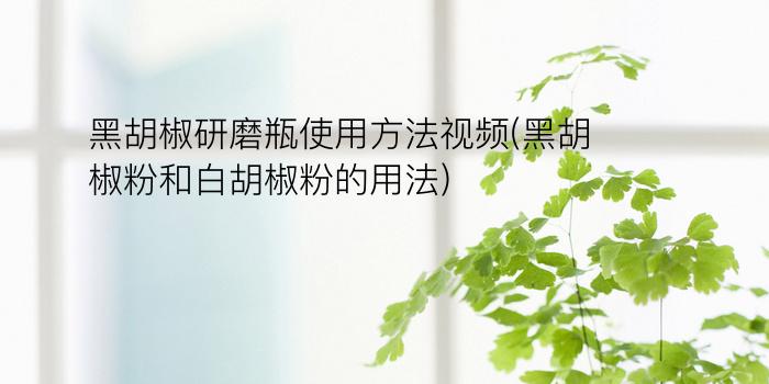 黑胡椒研磨瓶使用方法视频(黑胡椒粉和白胡椒粉的用法)