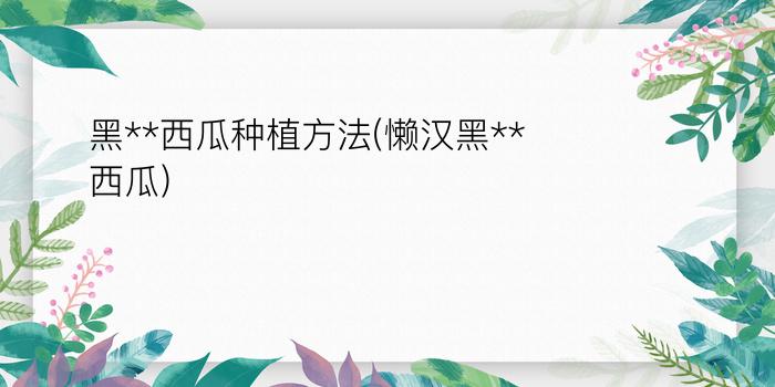 黑**西瓜种植方法(懒汉黑**西瓜)