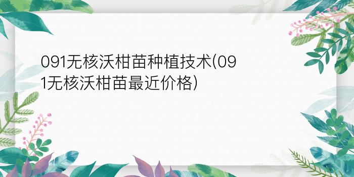 091无核沃柑苗种植技术(091无核沃柑苗最近价格)