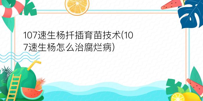 107速生杨扦插育苗技术(107速生杨怎么治腐烂病)