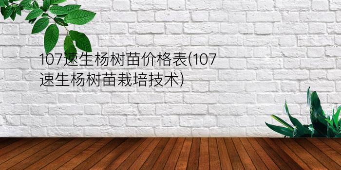 107速生杨树苗价格表(107速生杨树苗栽培技术)