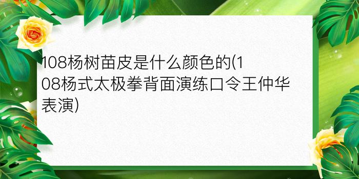 108杨树苗皮是什么颜色的(108杨式太极拳背面演练口令王仲华表演)