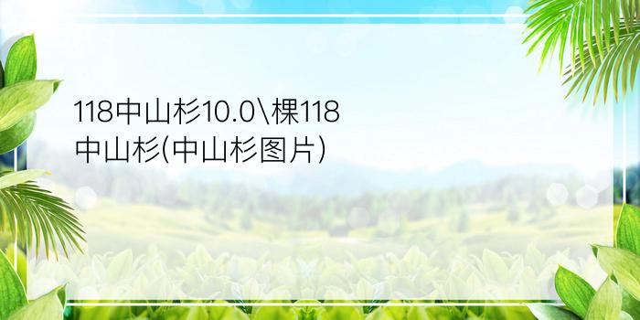 118中山杉10.0\/棵118中山杉(中山杉图片)