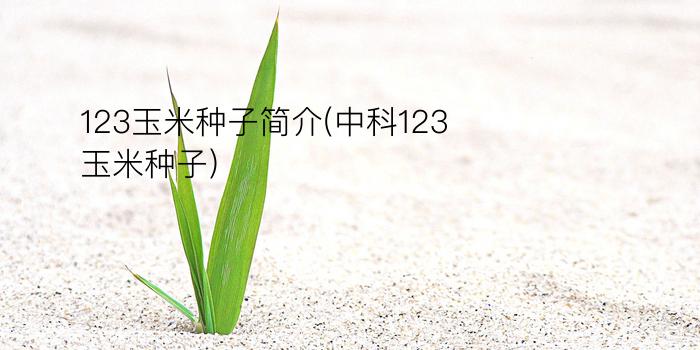 123玉米种子简介(中科123玉米种子)