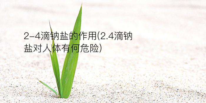 2-4滴钠盐的作用(2.4滴钠盐对人体有何危险)