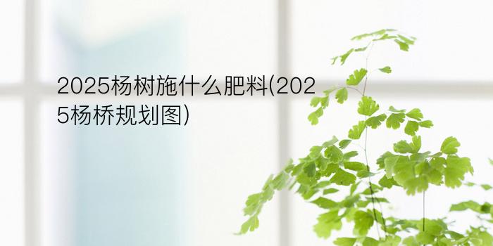 2025杨树施什么肥料(2025杨桥规划图)